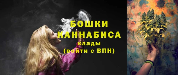 стаф Магас