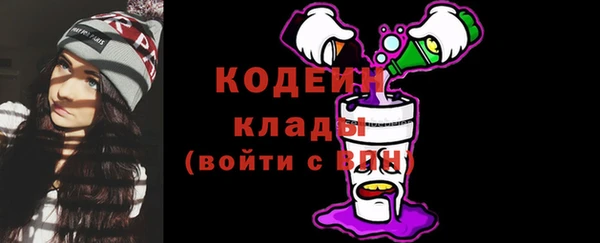 стаф Магас
