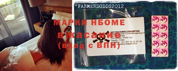 стаф Магас